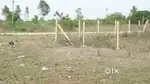 VIT College Near Plot For Sale