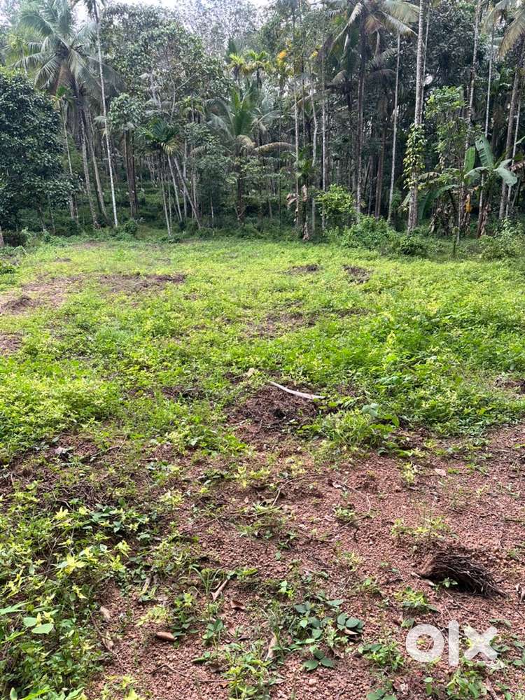 10 Cent Land for Sale in Kadakkal