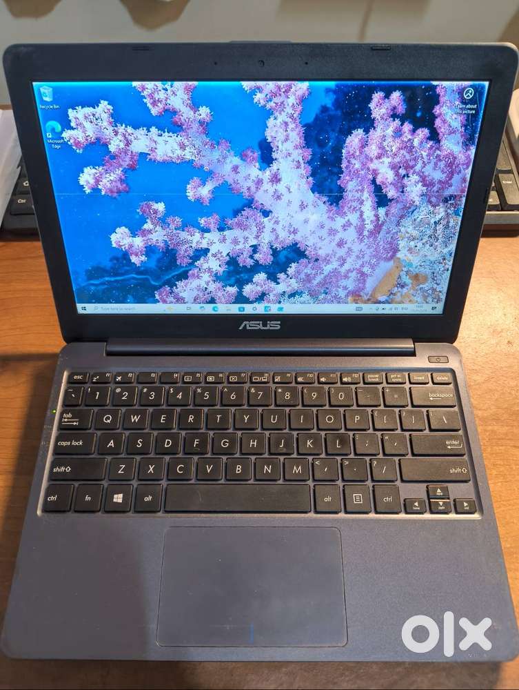 Asus Netbook Laptop