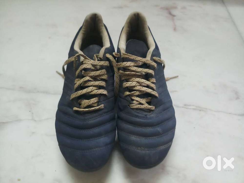 Offload stud , 10 day old