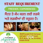 Staff requirements