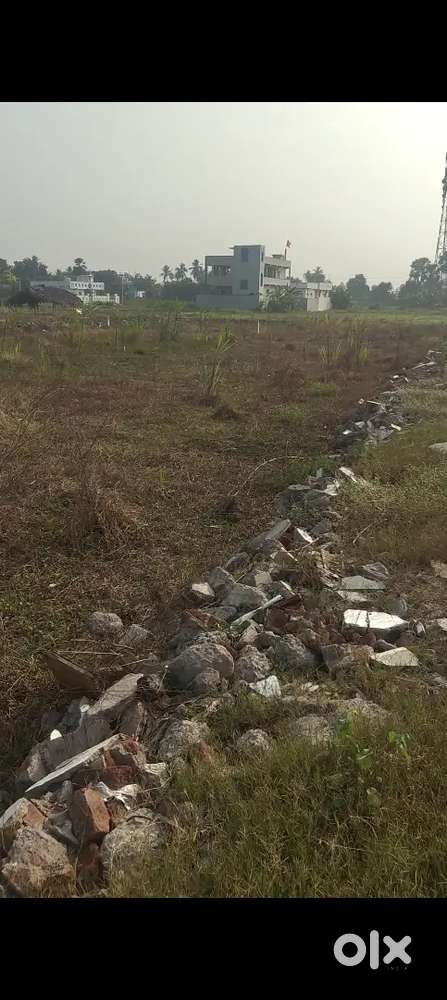 కంకిపాడు , మద్దూరు విలేజ్ లో  గజం 7300 మొత్తం పంచాయతీ లేఔట్ 240 గజాలు