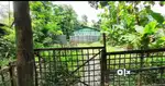 1 Bigha 2 Katha 17 Lessa Land for sale