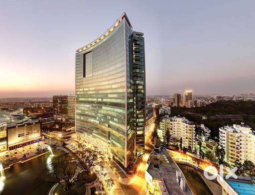 Business Development Executive