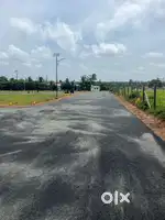 Excellent dtcp plots sale in marine clg near othakalmandapam