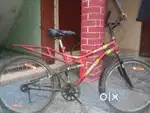 Vento Balwan cycle 3 months old