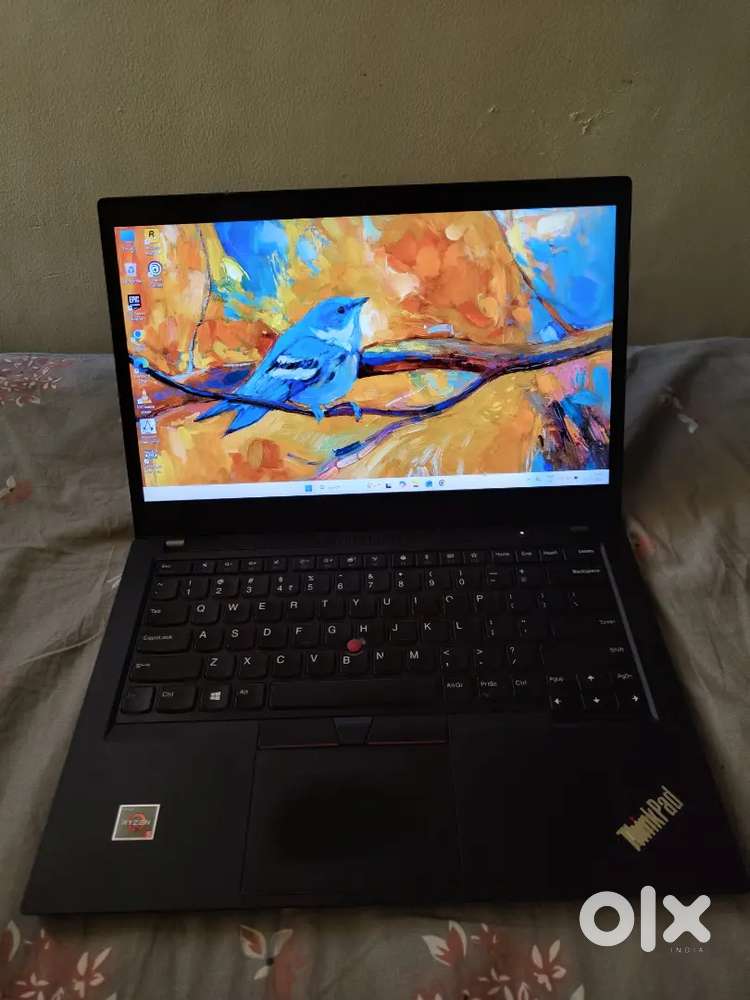Lenovo ThinkPad T495