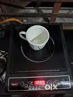 Induction -PIGEON INDUCTION