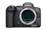 Canon R6 on Rent in Delhi NCR