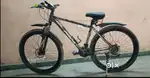 Corvette Frog Suspension Dual Disc Brake 29T Mountain Cycle (21 Gear)
