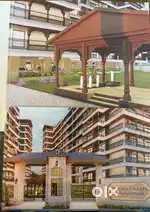 3 bhk flat