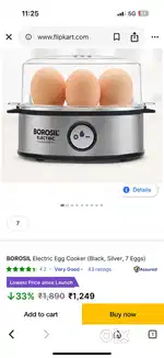 Boroisl egg boiler