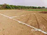 PLOT FOR SELL IN BARATA