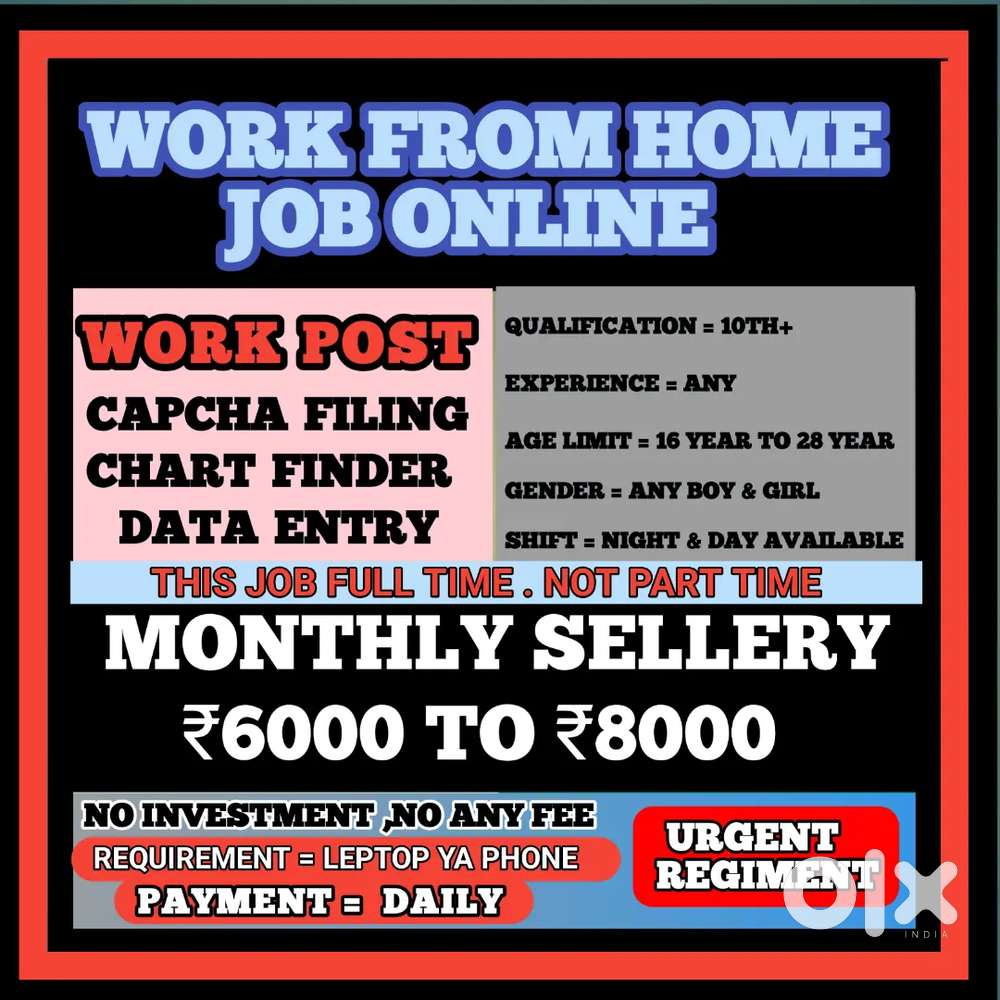 Work From Home Online Job Data Entry D14