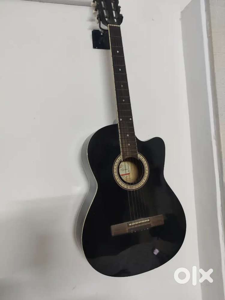 Accoustic guitar, in great working condition.