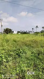 5 ACRE 7 CENT FOR SALE AT POLLACHI KOVILPALAYAM