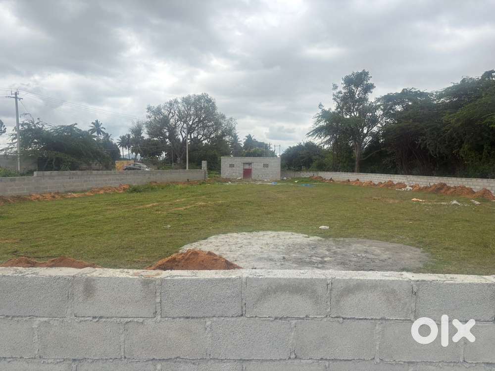 For 38 lakhs only,Tar road attached 12 gunta (12,000 sqft)