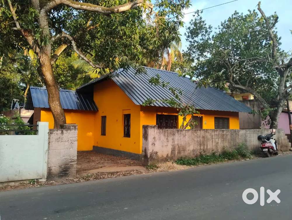 Pappanamcode merilandstudioroad front side