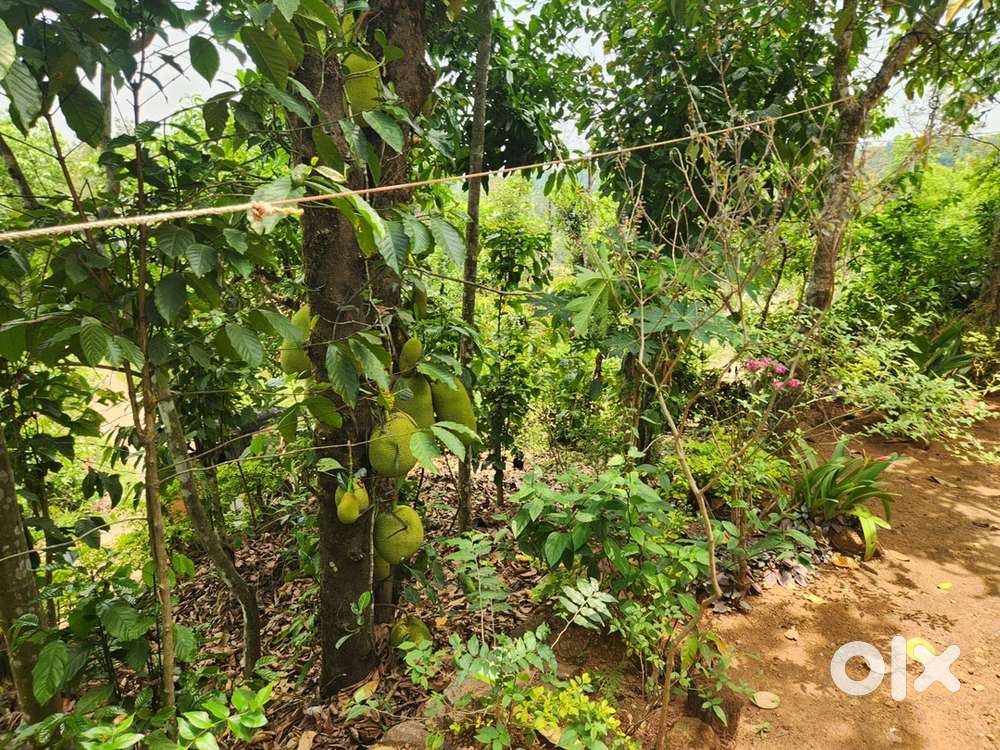 11 CENT LAND WITH 850 SQFT HOME FOR SALE@MANATHAVADY MYSORE ROAD