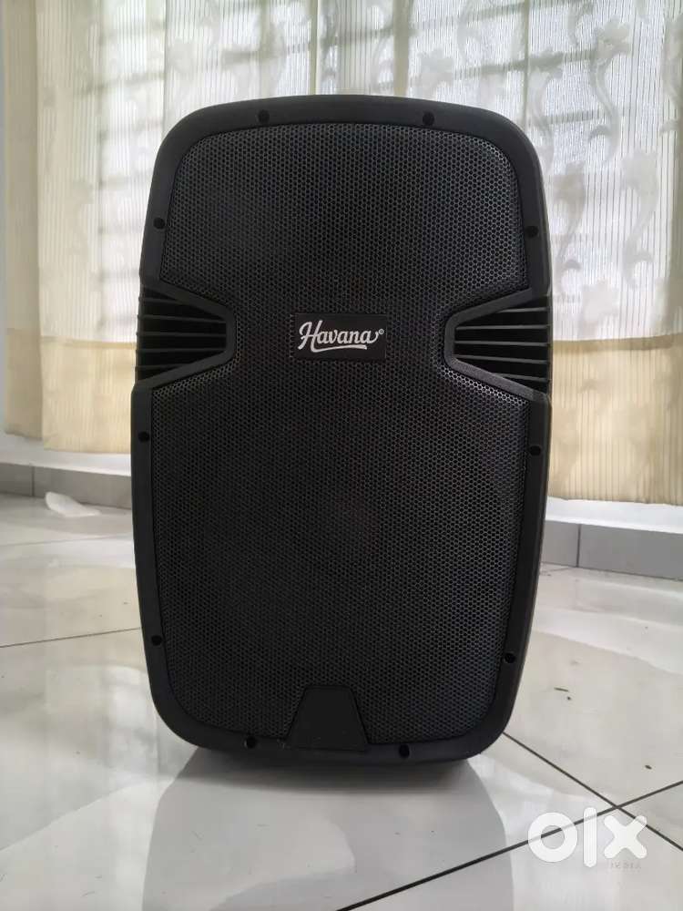 Professional PA with mic