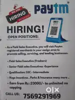 Field sales executive
