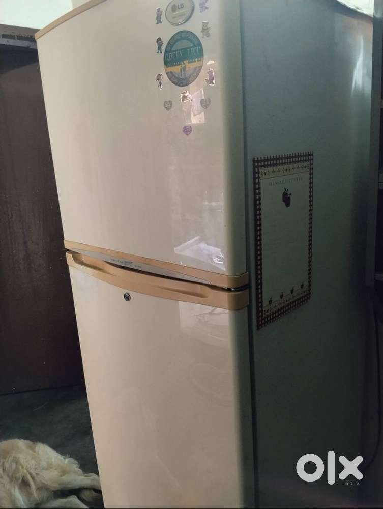 LG turbo cool double door fridge