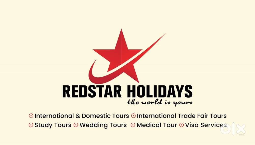 Tour Executive cum Accountant