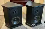 DEFINITIVE TECHNOLOGY BP-12X