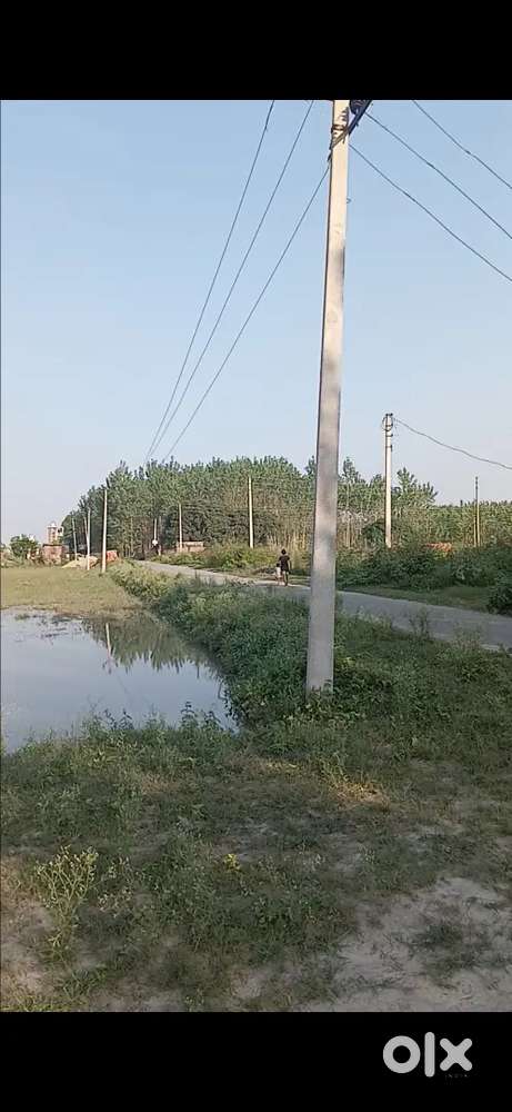 Plot in bhurarani, Rudrapur
