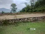 Raja wala Himalayan institute ke pas