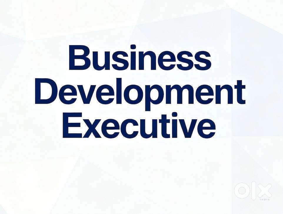 BUSINESS DEVELOPMENT EXECUTIVE DRIVER