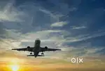 Job in indigo airlines 2025