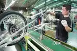 50 + vacancy available in manufacturing company