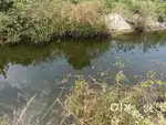 1.4 Acre paddy field for sale near vathalakundu