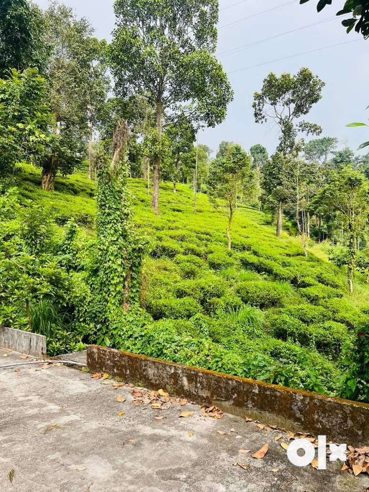 Holiday house for sale@Vythiri,wayanad