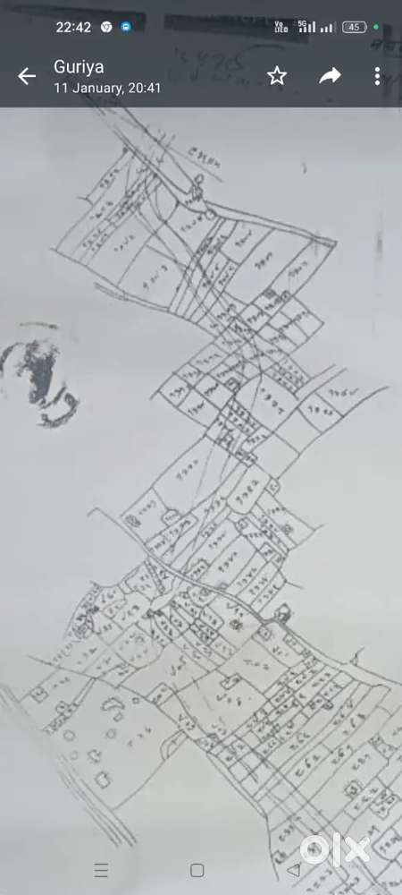 all pepar redey on line