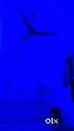 Need roommate  Required roommate