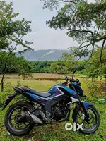 Hornet 2018
