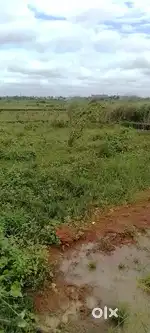 Plots sell