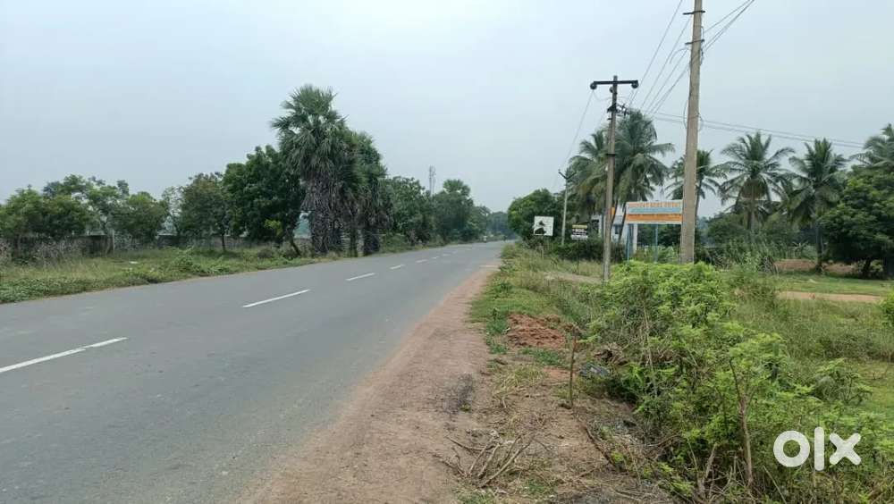 Budget plots in sp kovil