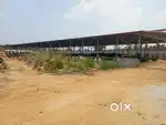 Tractor Driver