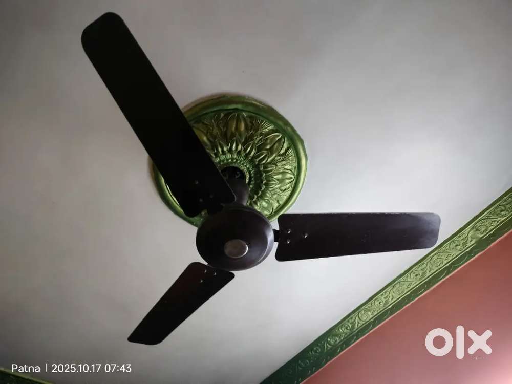 Ceiling fan