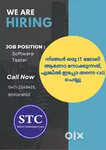 Software Tester