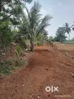 54 cent agri land for sale in Sathyamangalam.