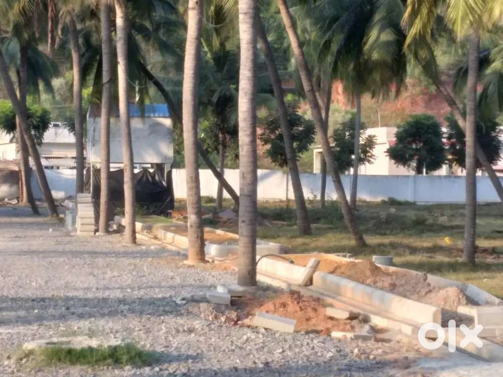 Sontyam to Anandapuram Highway Near Land Sale