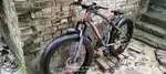 CASTELLO Bycycle