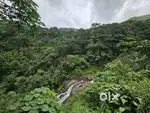 16.80 Acres Coffee Estate Sale@ Vagamon
