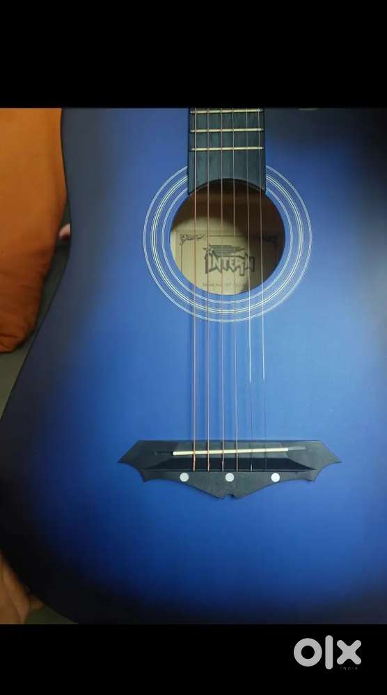 Aquatic guitar