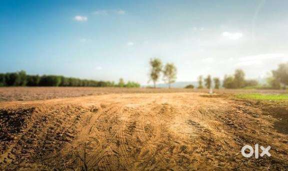Need a plot/shop to purchase in Adda Kathar -144106