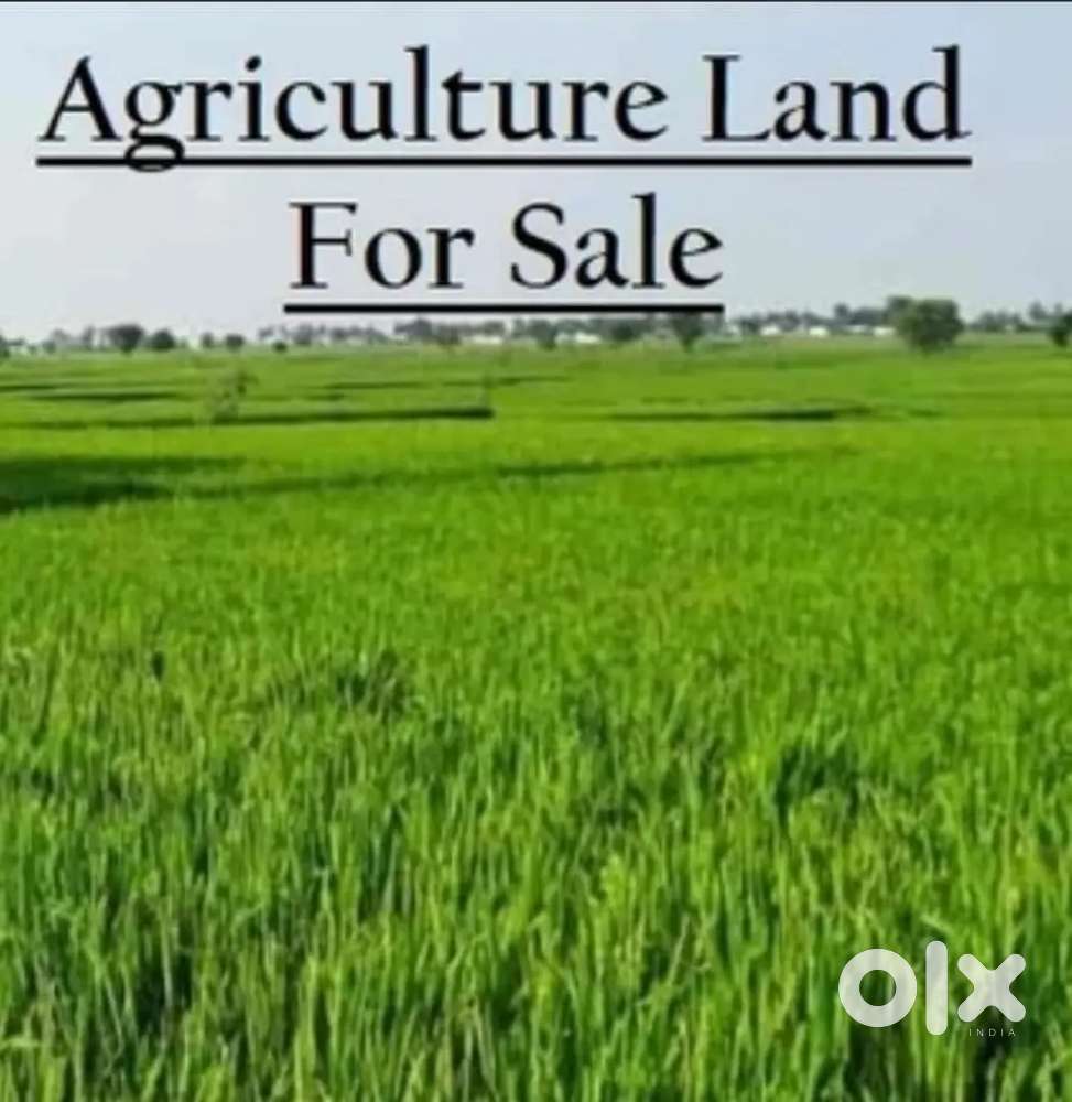 12 begha agriculture land for sale